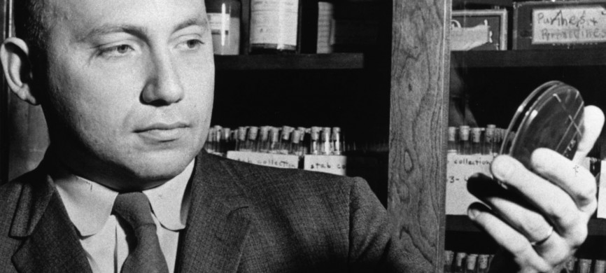<p>Joshua Lederberg, professor of genetics at the University of Wisconsin-Madison from 1947 to 1959, is pictured during the 1950s. Lederberg received the Nobel Prize in 1958. � UW-Madison University Communications 608/262-0067 Photo by: Courtesy UW-Madison University Archives Date: circa 1950s File#: 9209-224-4</p>